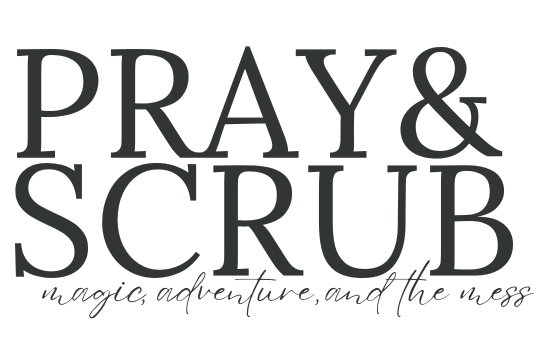 Pray and Scrub logo